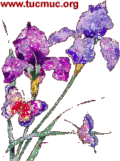 Animated Images of beautiful flowers for girl friends to show Love, care warmth Heart for Orkut scraps, Myspace comments yahoo mash Emails and sms