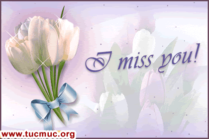 Miss You Comments  Image - 5
