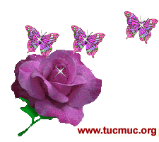 Animated Images of beautiful flowers for girl friends to show Love, care warmth Heart for Orkut scraps, Myspace comments yahoo mash Emails and sms