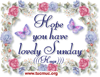 Happy Sunday Comments 