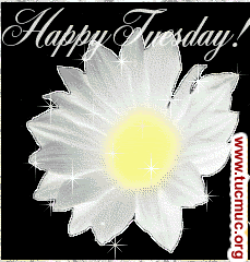 Wishing You a Happy Tuesday Image - 2