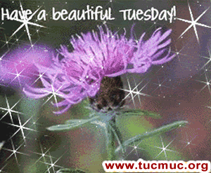 Wishing You a Happy Tuesday Image - 5