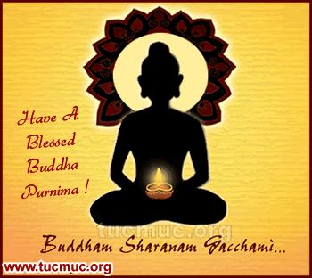 Blessed Buddha Purnima Cards 