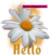 Hello Images for Friends