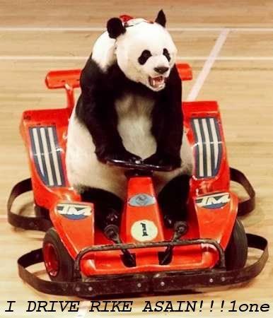 Panda Go Kart