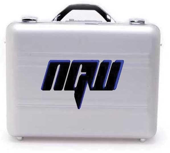 MITB.jpg NGW MITB image by NGW-FED