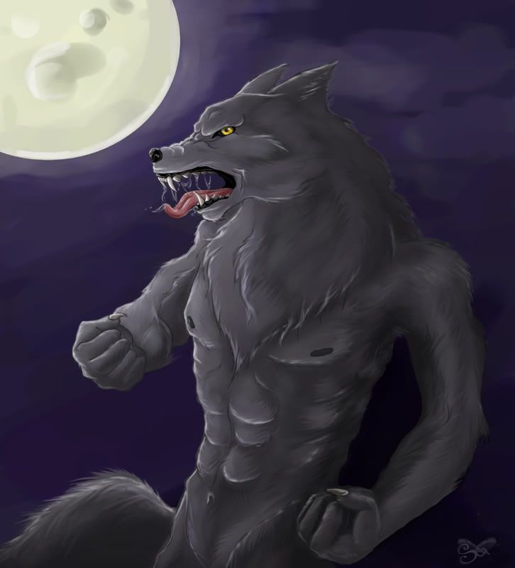 __Werewolf___by_Presea.jpg Werewolf image by TheSilence824 __Werewolf___by_Presea.jpg Werewolf image by TheSilence824