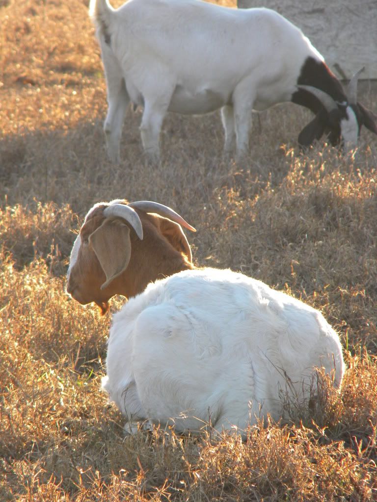 DSCN2978.jpg