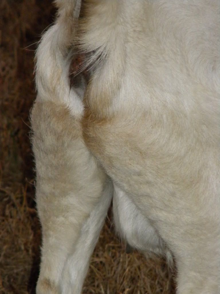 DSCN3000.jpg