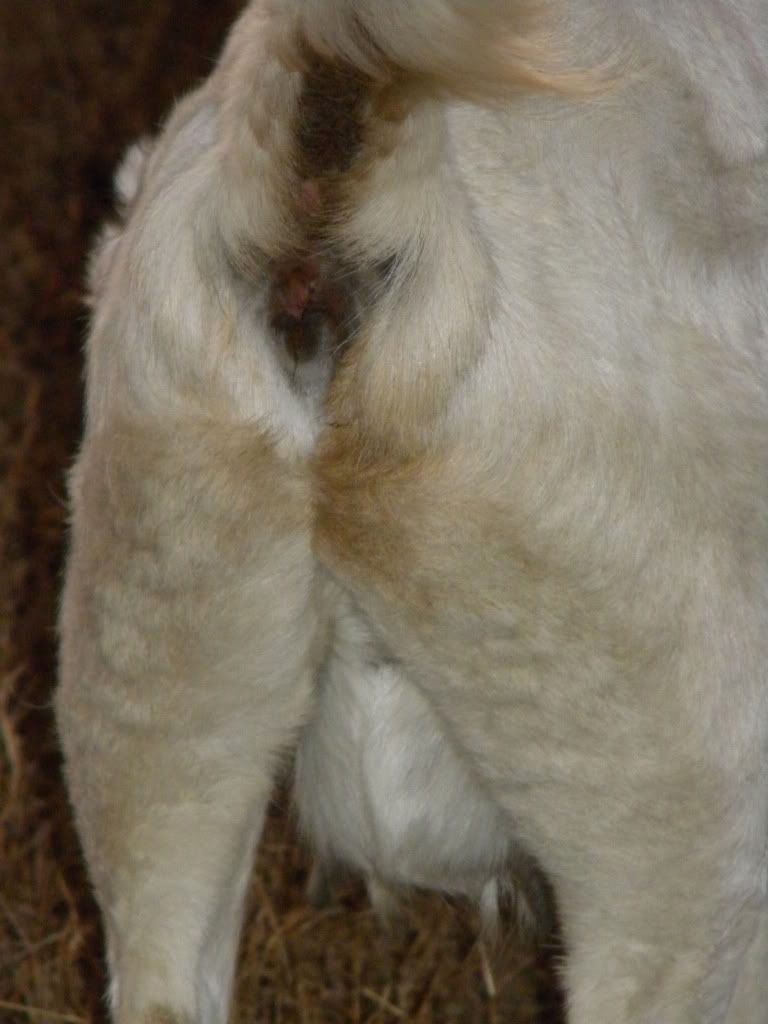 DSCN3002.jpg