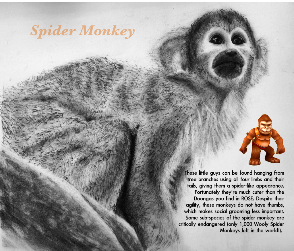 spidermonkey.png