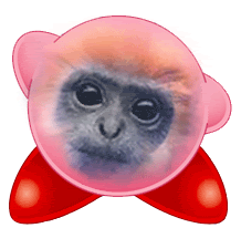 Monkey-Kirby.gif