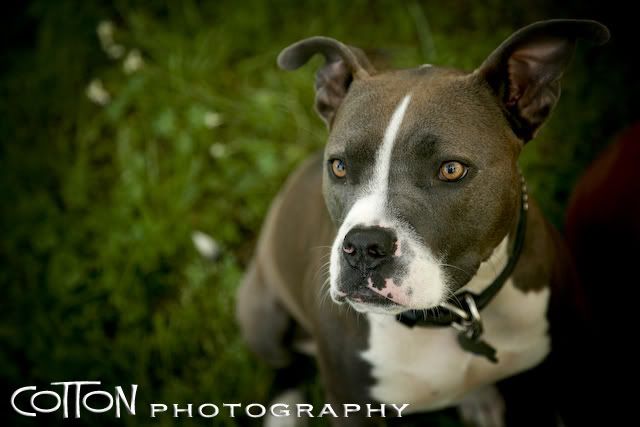 Photobucket - Video and Image Hosting