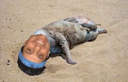 montauk_mehta.jpg