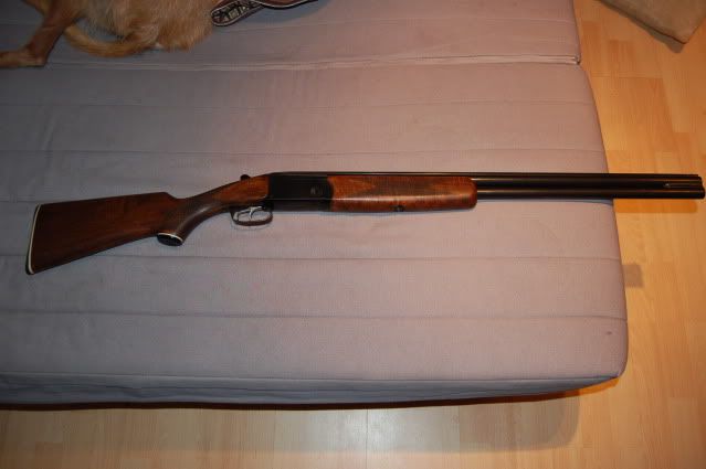guns001.jpg