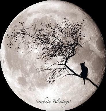 samhain Pictures, Images and Photos