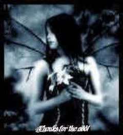 thanks for the add,fairy,fairy art,gothic,jax4java,my space comment,myspace comment