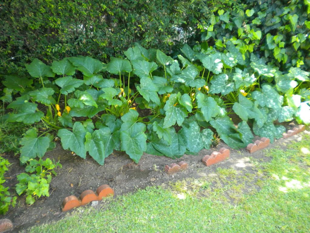 DSCN2958.jpg