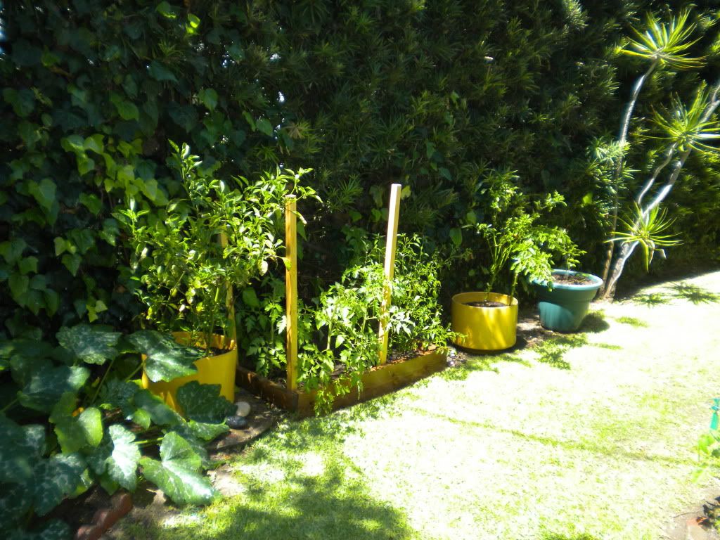 DSCN2959.jpg