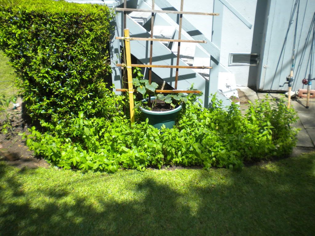 DSCN2960.jpg