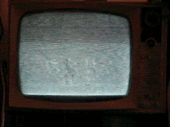 Posted Image