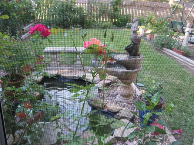 back porch garden