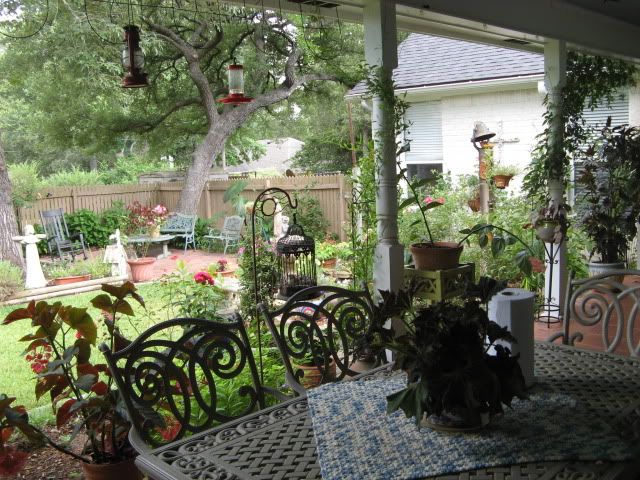 back porch garden