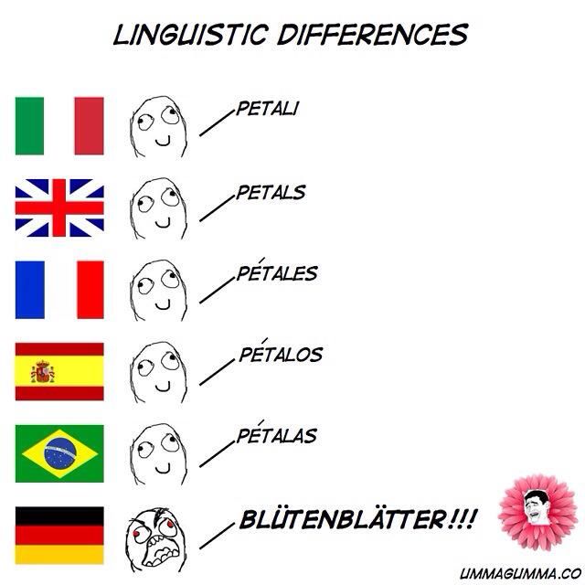 Linguistic Differences photo 1798676_612778372108663_1453691005_n.jpg