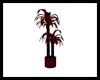 Blood Red Potted Palm Tree