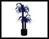 Club Blue Potted Palm