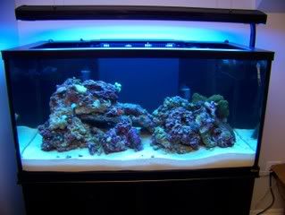 FTS092808.jpg