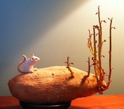 Bonsai Potato Mouse Overall
