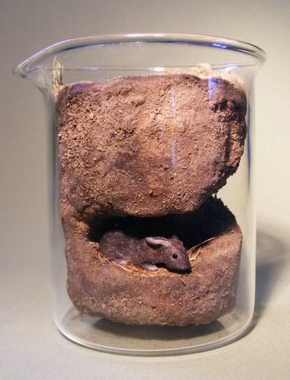 sculpture