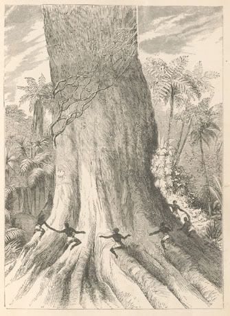 A Giant Trunk