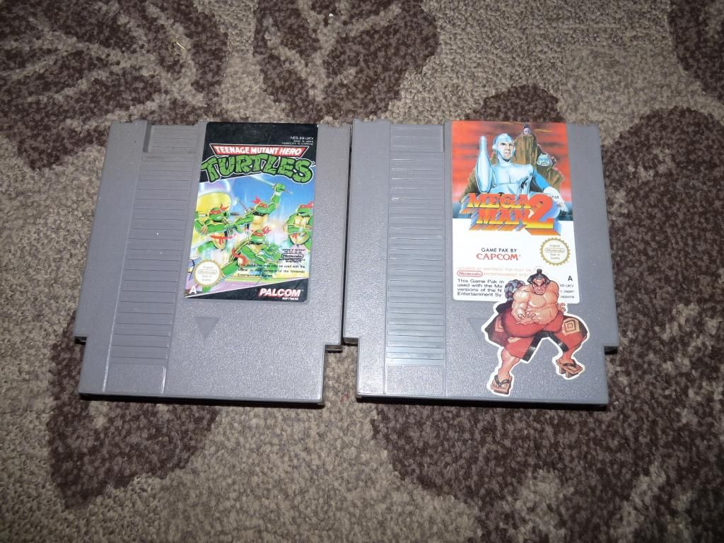 Nes%201.jpg