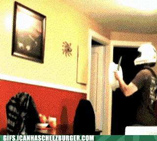 funny-animal-gifs-ohgodohgodohgodohgodohgodohgod1.gif