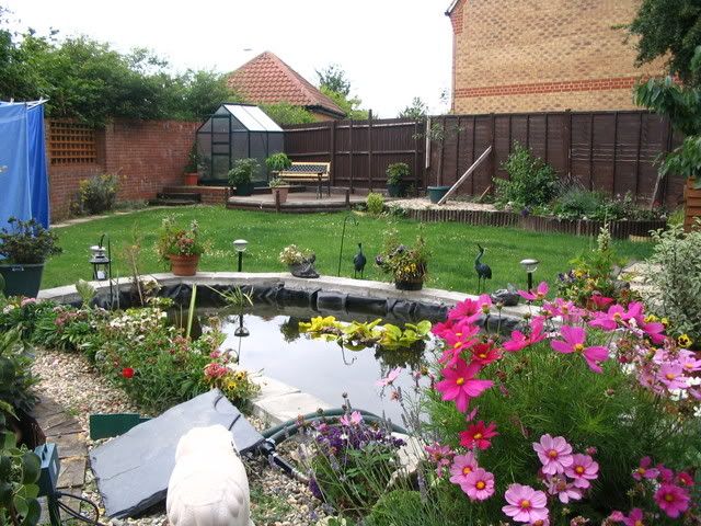 garden1.jpg
