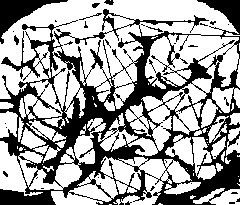 brain-1.jpg
