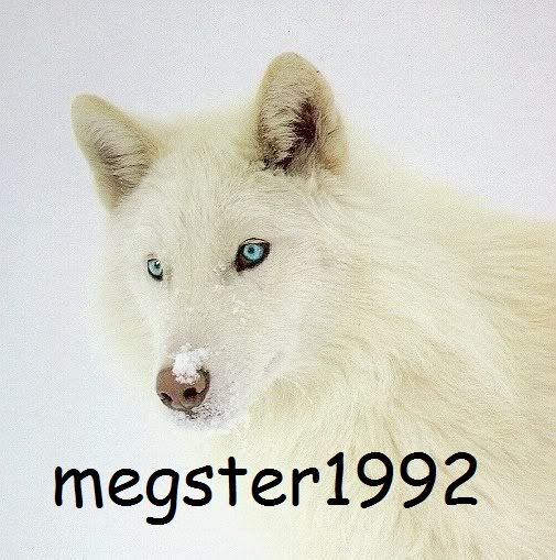 megster1992 Avatar