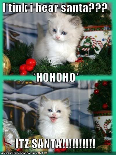 funny-pictures-its-santa-cat.jpg christmas eve kitteh image by Cobaltshadow