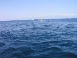 P1010054.jpg