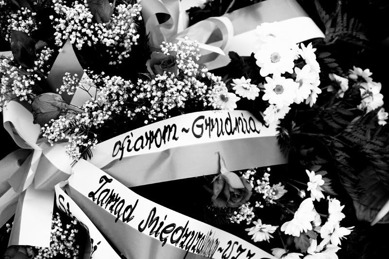 Obraz-058_filtered.jpg