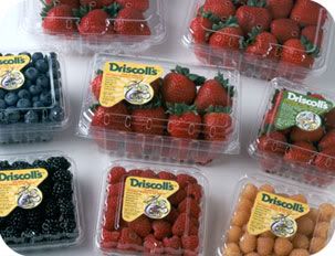 driscollsberries.jpg image by lizzy11263