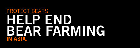 End Bear Farming Banner