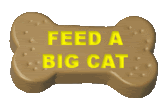 Feed A Big Cat Bone