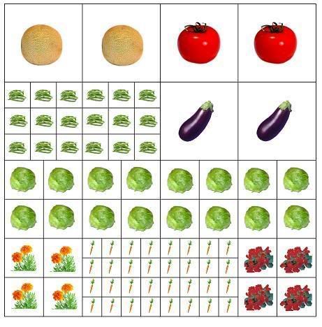 Diagram Of Lettuce