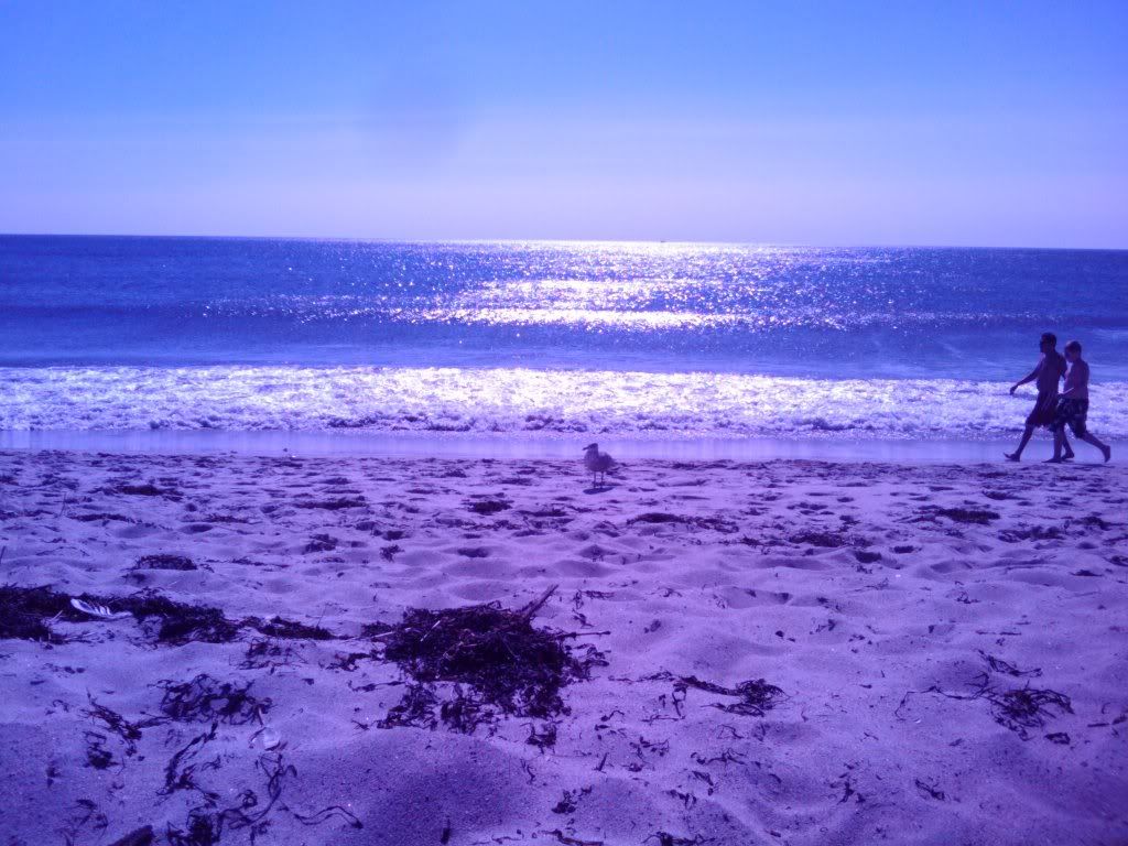 2010-08-20101605.jpg