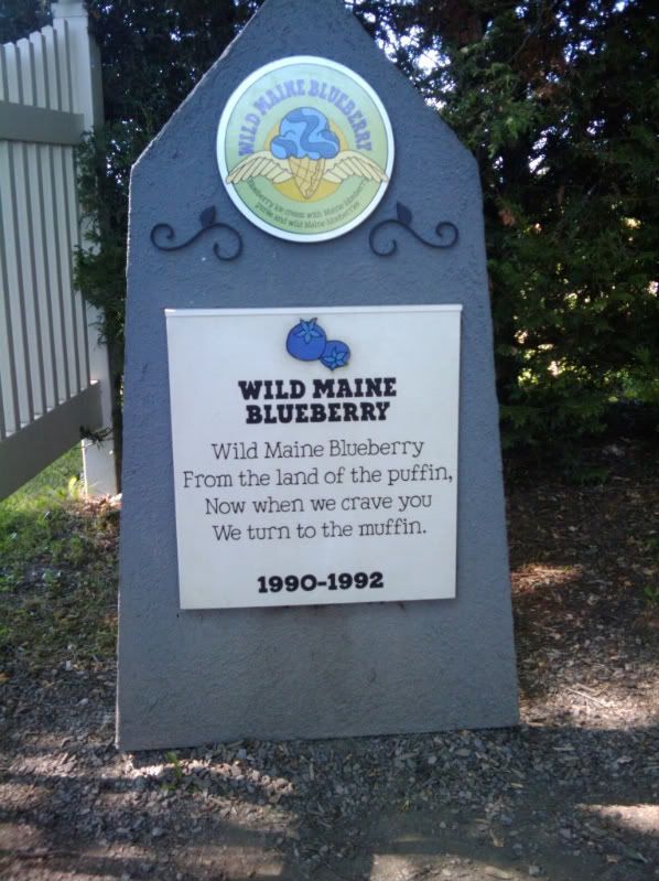 2010-08-29112043.jpg