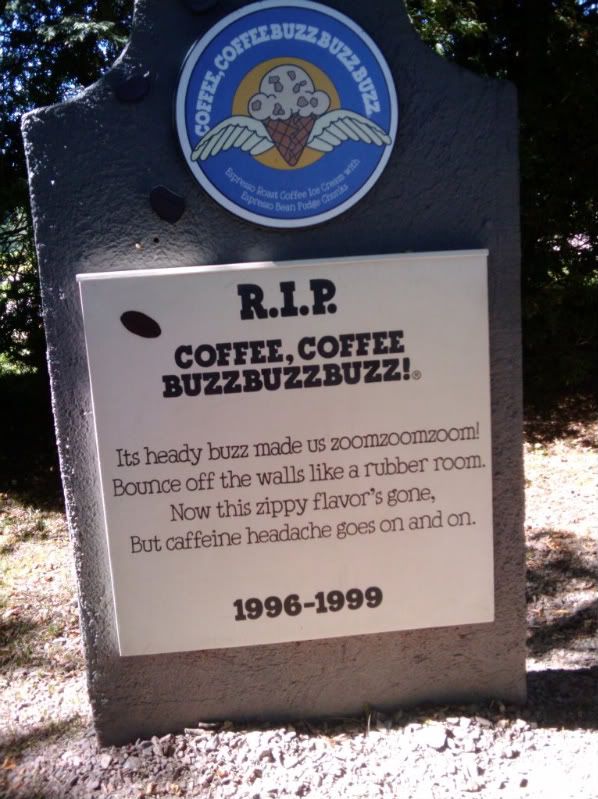 2010-08-29112350.jpg
