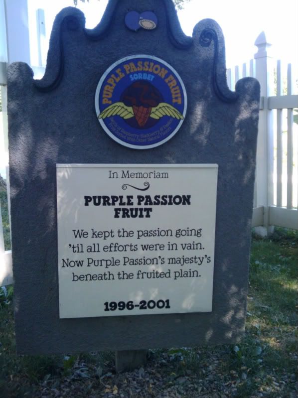 2010-08-29112413.jpg